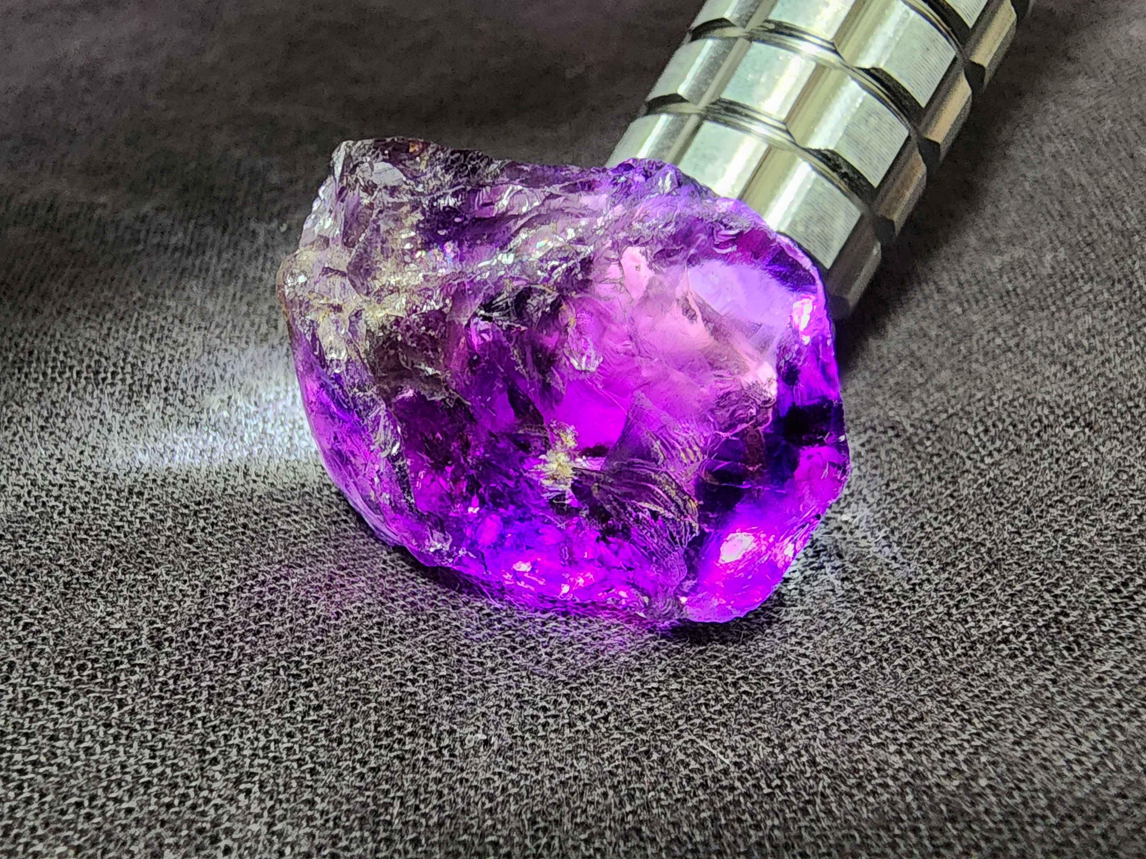 The most beautiful and giant desert rose and the gorgeous sunlight!