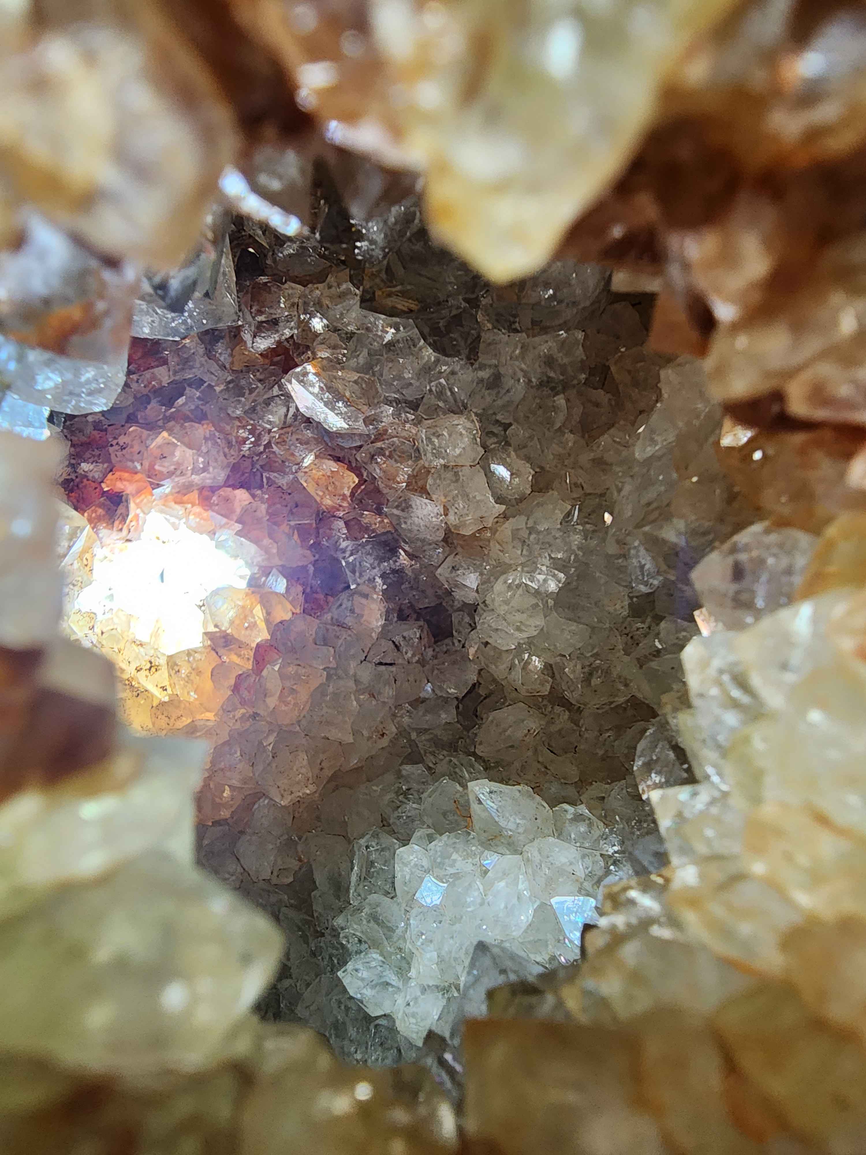 The most beautiful and giant desert rose and the gorgeous sunlight!