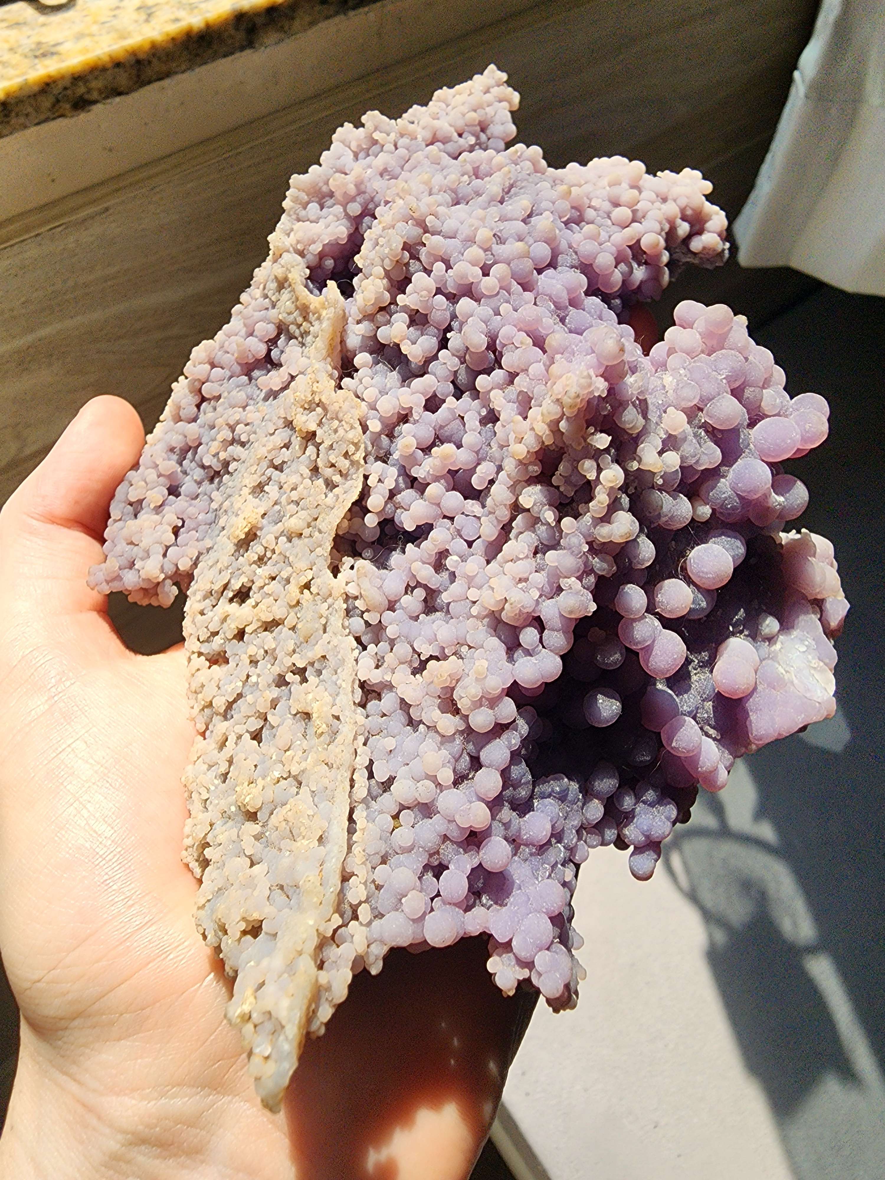 The most beautiful and giant grape agate and the gorgeous sunlight!