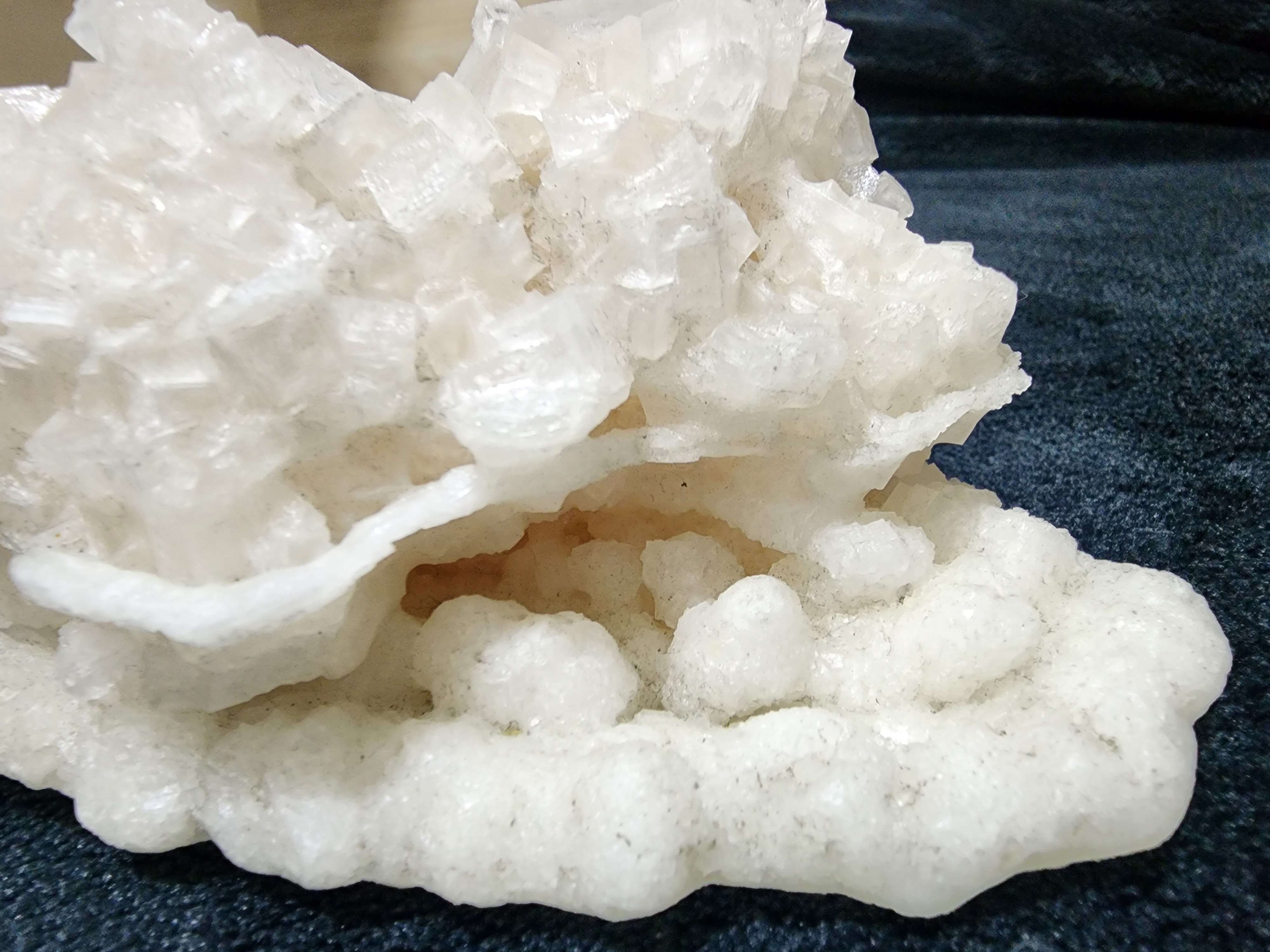 The most beautiful and giant desert rose and the gorgeous sunlight!