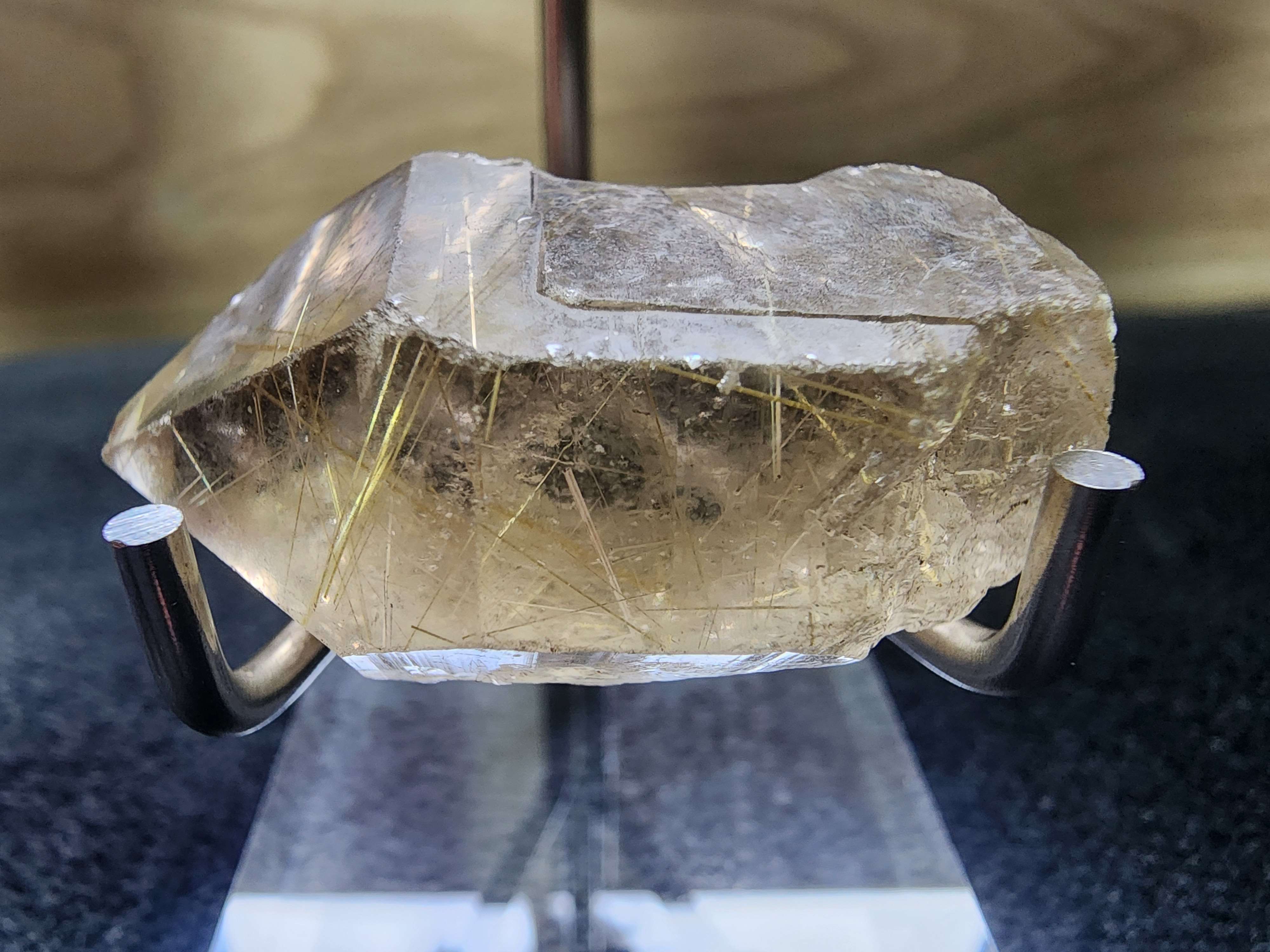 The most beautiful and giant desert rose and the gorgeous sunlight!